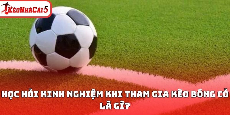 Học hỏi kinh nghiệm khi tham gia k&egrave;o b&oacute;ng cỏ l&agrave; g&igrave;?