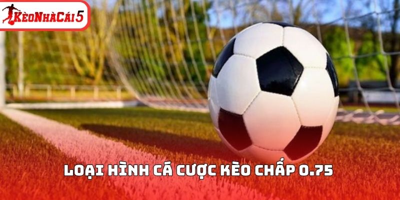 Loại h&igrave;nh c&aacute; cược k&egrave;o chấp 0.75&nbsp;