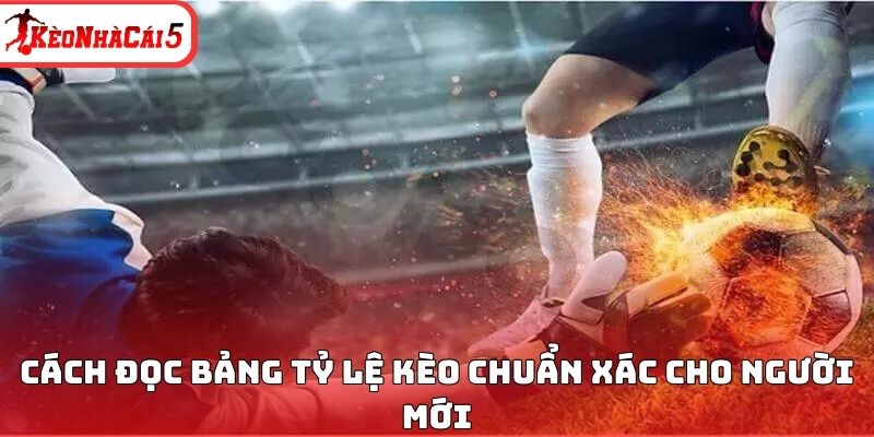 C&aacute;ch đọc bảng tỷ lệ k&egrave;o chuẩn x&aacute;c cho người mới