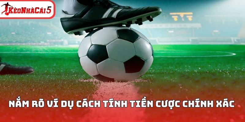 Nắm r&otilde; v&iacute; dụ c&aacute;ch t&iacute;nh tiền cược ch&iacute;nh x&aacute;c&nbsp;