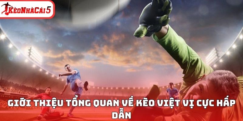 Giới thiệu tổng quan về k&egrave;o việt vị cực hấp dẫn