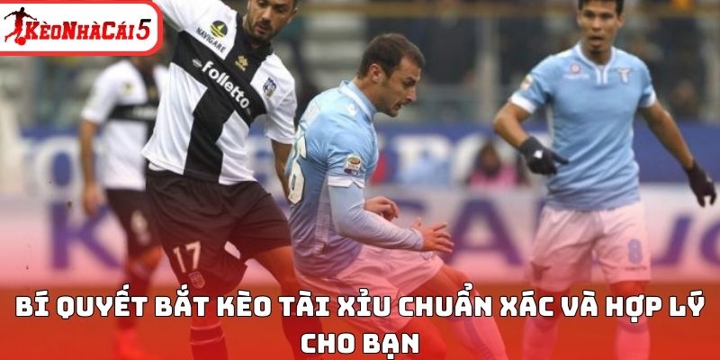 B&iacute; quyết bắt k&egrave;o T&agrave;i Xỉu chuẩn x&aacute;c v&agrave; hợp l&yacute; cho bạn