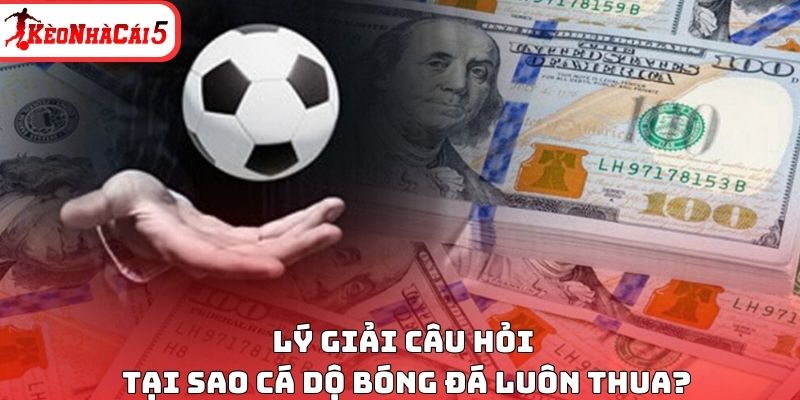 L&yacute; giải c&acirc;u hỏi tại sao c&aacute; dộ b&oacute;ng đ&aacute; lu&ocirc;n thua?