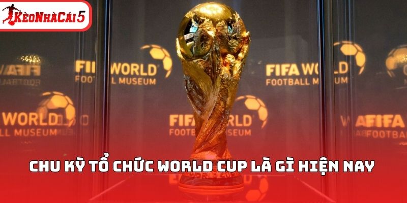 Chu kỳ tổ chức World Cup l&agrave; g&igrave; hiện nay&nbsp;